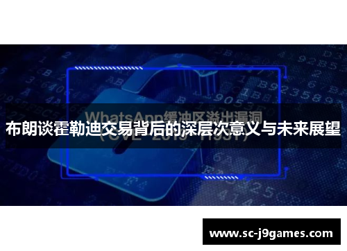 布朗谈霍勒迪交易背后的深层次意义与未来展望