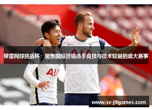 穆雷网球挑战杯：聚焦国际顶级选手竞技与技术较量的盛大赛事