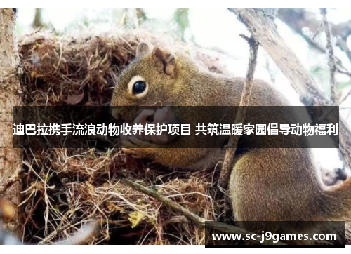 迪巴拉携手流浪动物收养保护项目 共筑温暖家园倡导动物福利